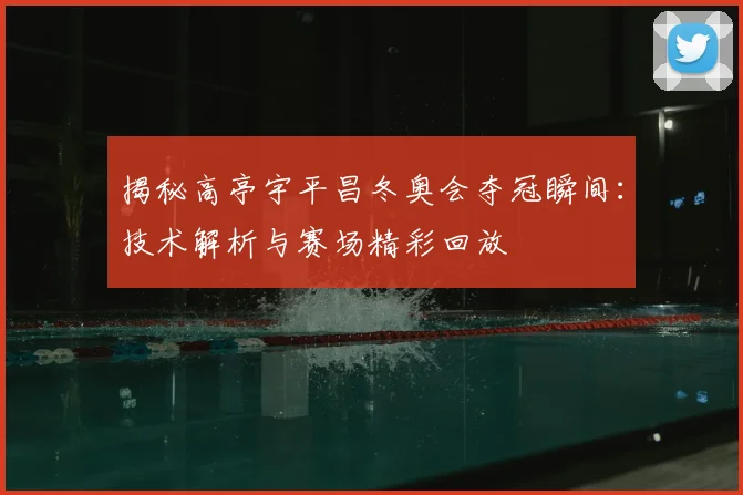 揭秘高亭宇平昌冬奥会夺冠瞬间：技术解析与赛场精彩回放