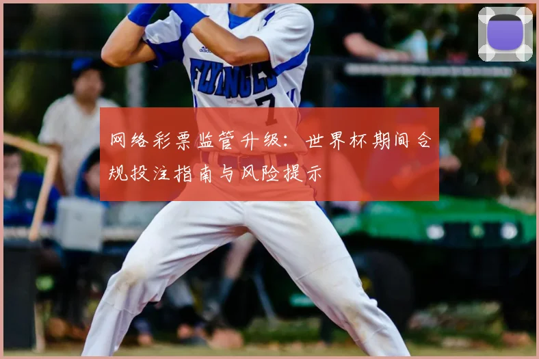 网络彩票监管升级：世界杯期间合规投注指南与风险提示